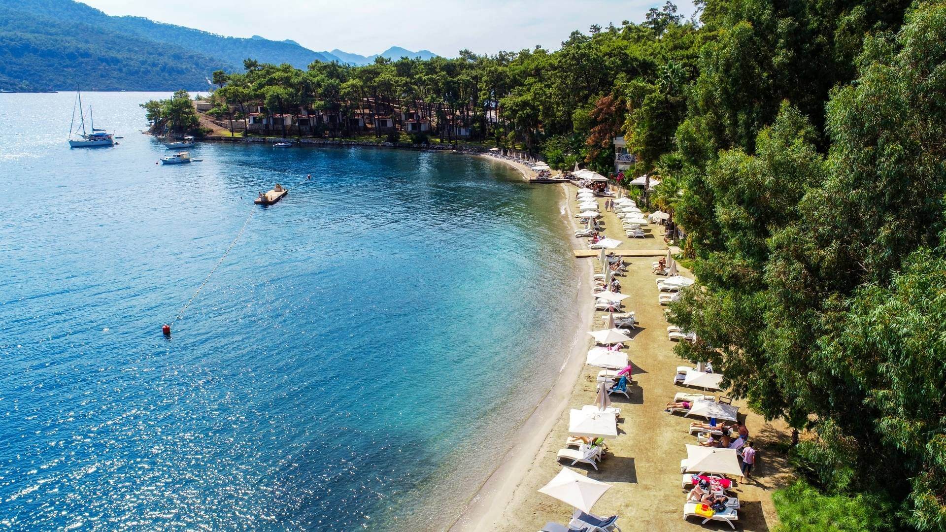 Hakkımızda